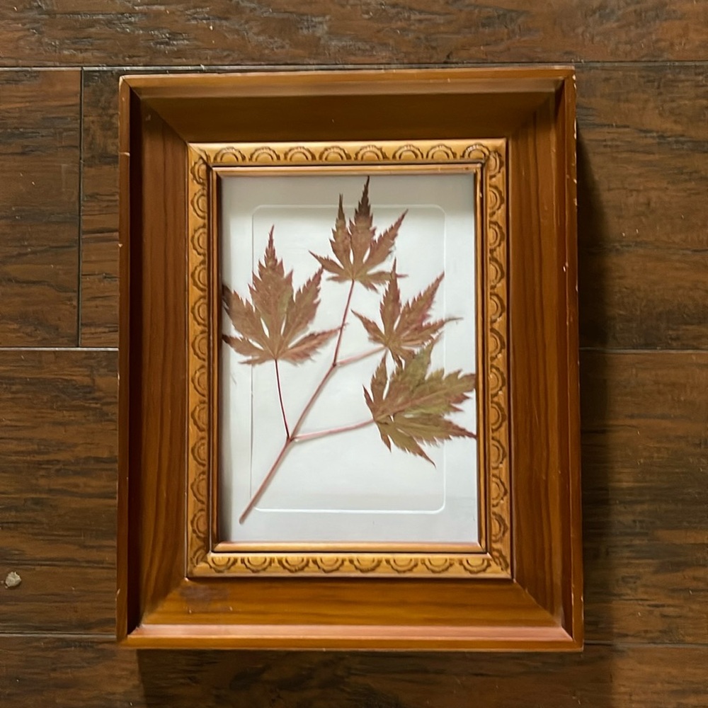 Dried, pressed floral wall art. Fall leaves in wood frame.